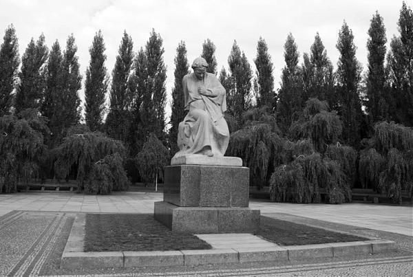 photo-1