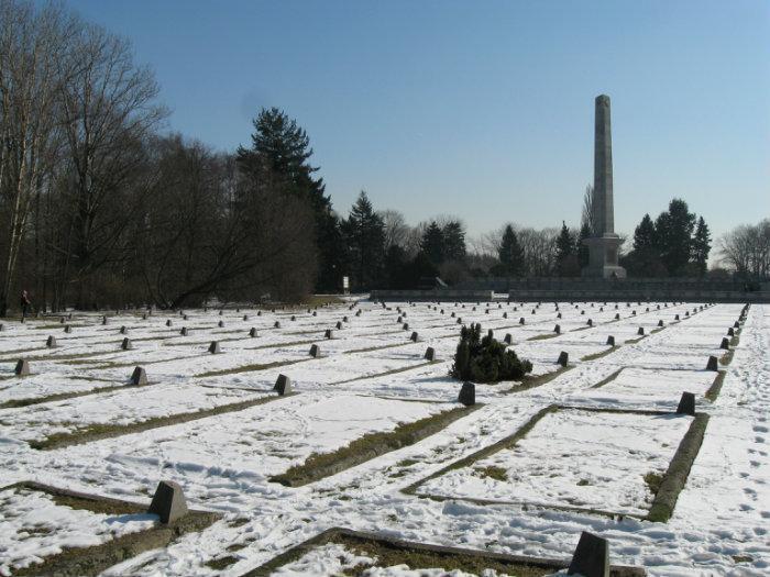 photo-3