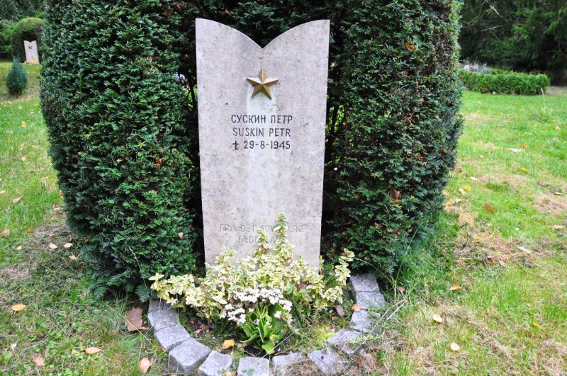 photo-6