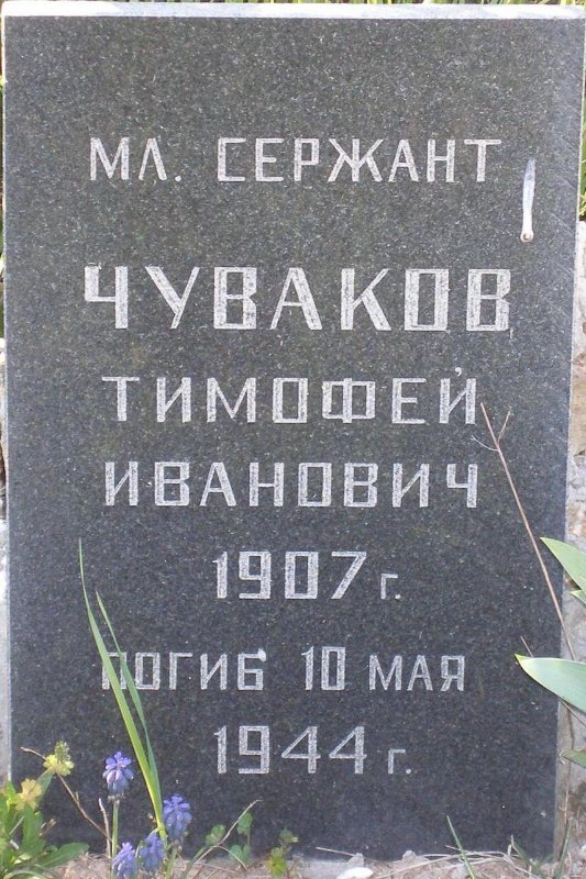 photo-3