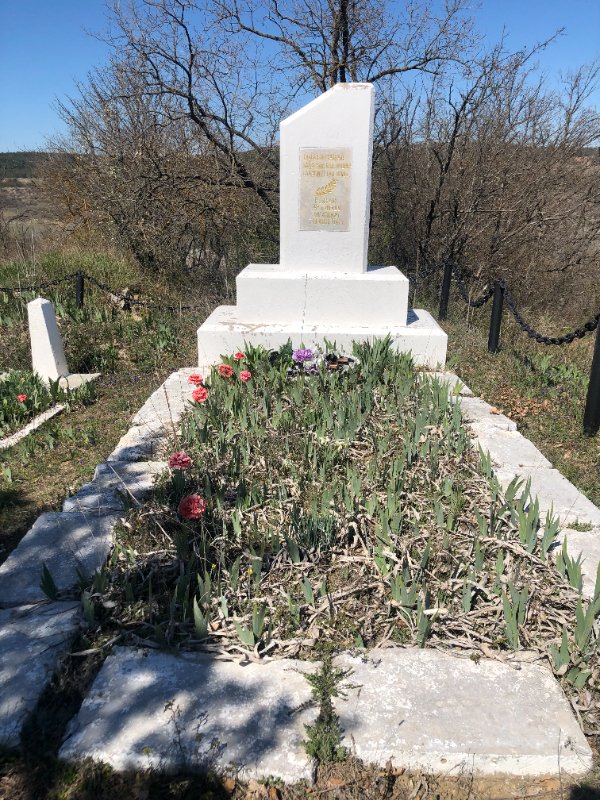 photo-7