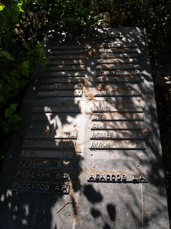 photo-8