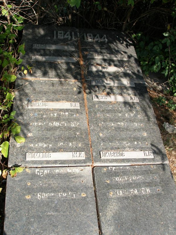 photo-10