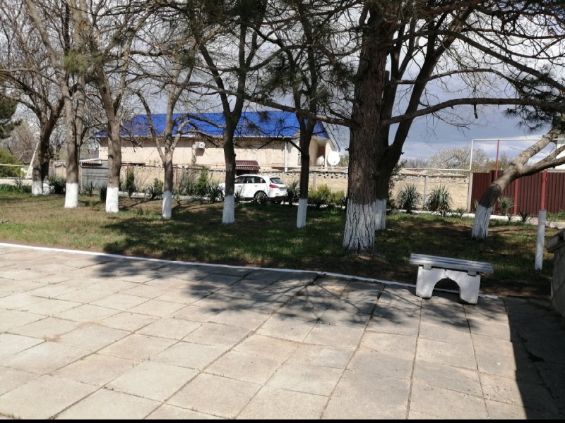 photo-3