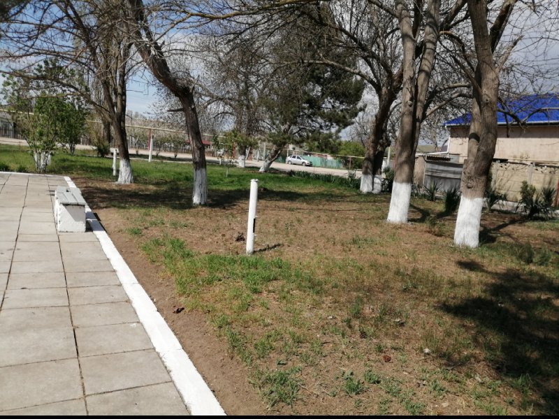 photo-6