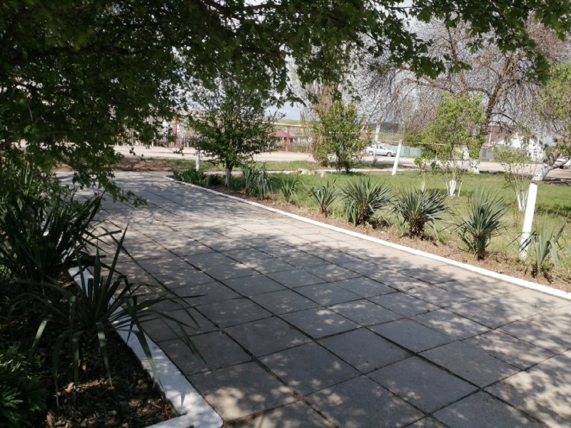 photo-11