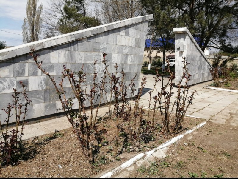 photo-28