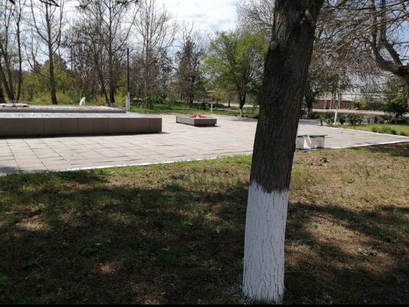photo-35