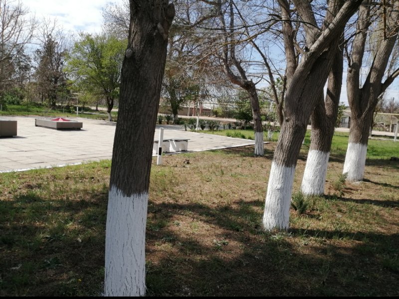 photo-36