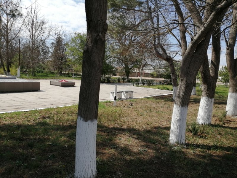 photo-37
