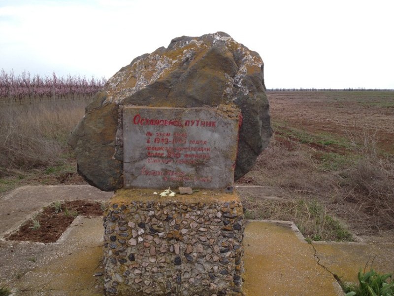 photo-1