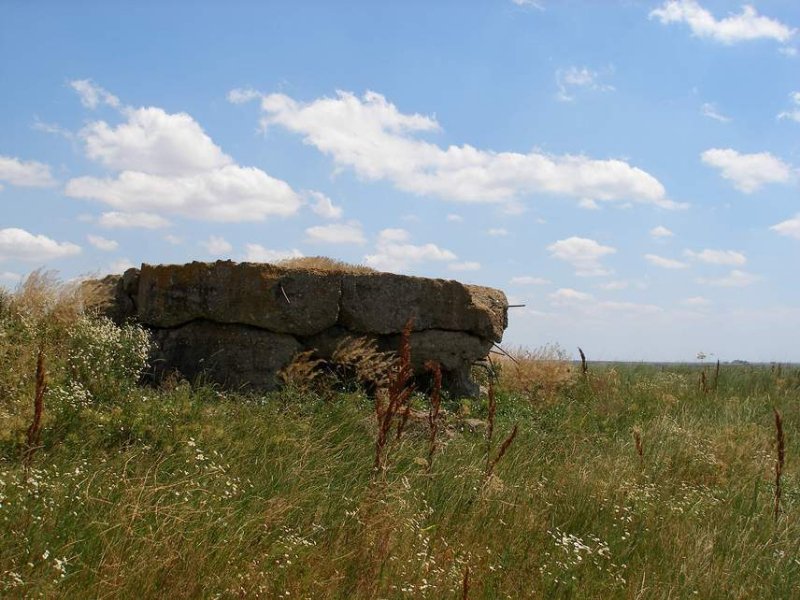 photo-1