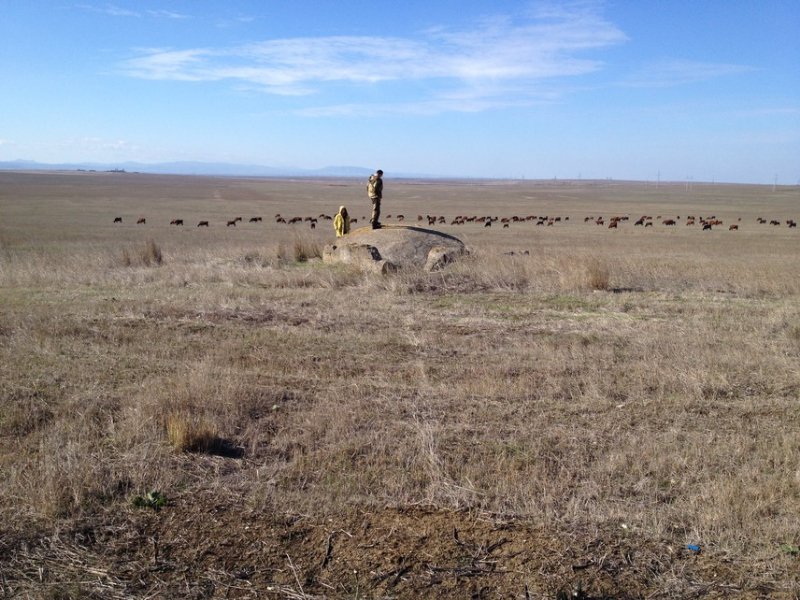 photo-2