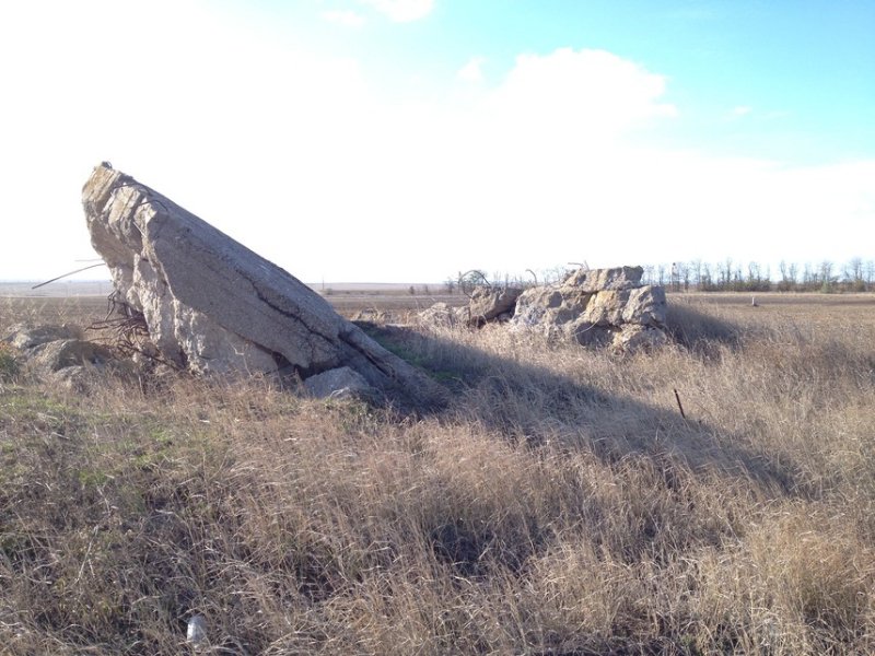 photo-1