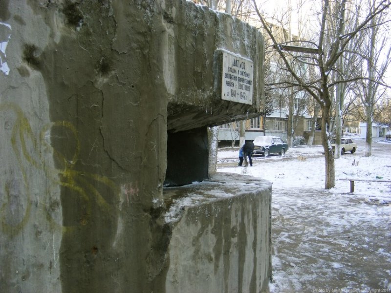 photo-3