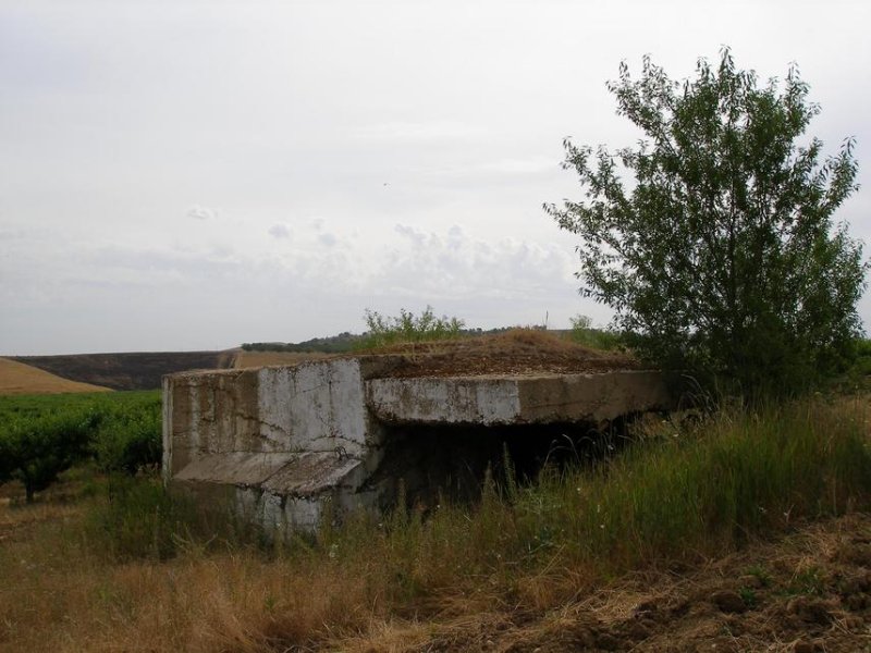 photo-5