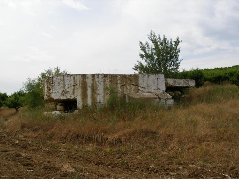 photo-0