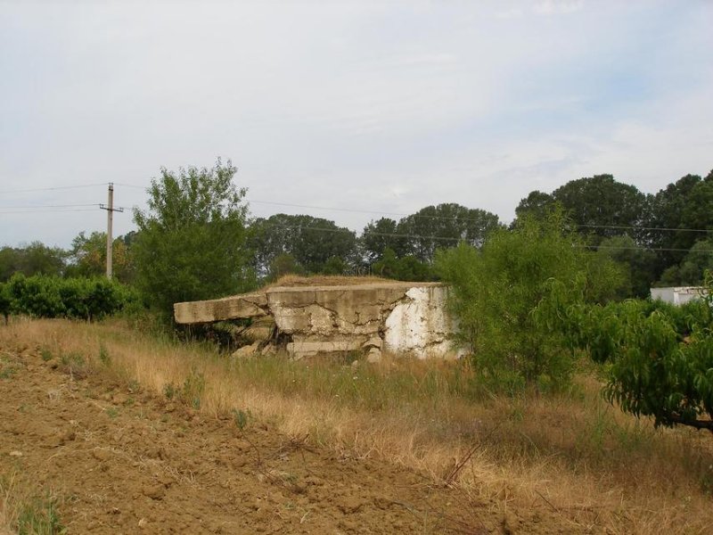 photo-2