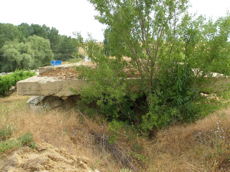 photo-4