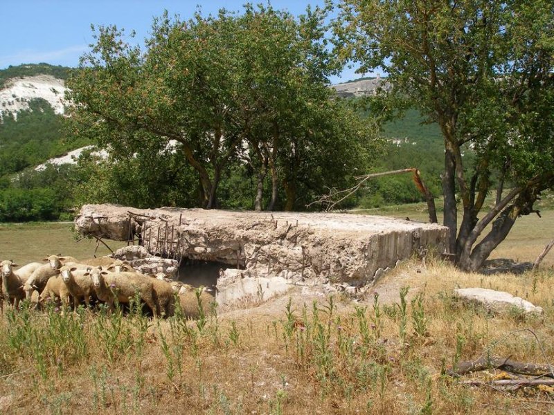 photo-4
