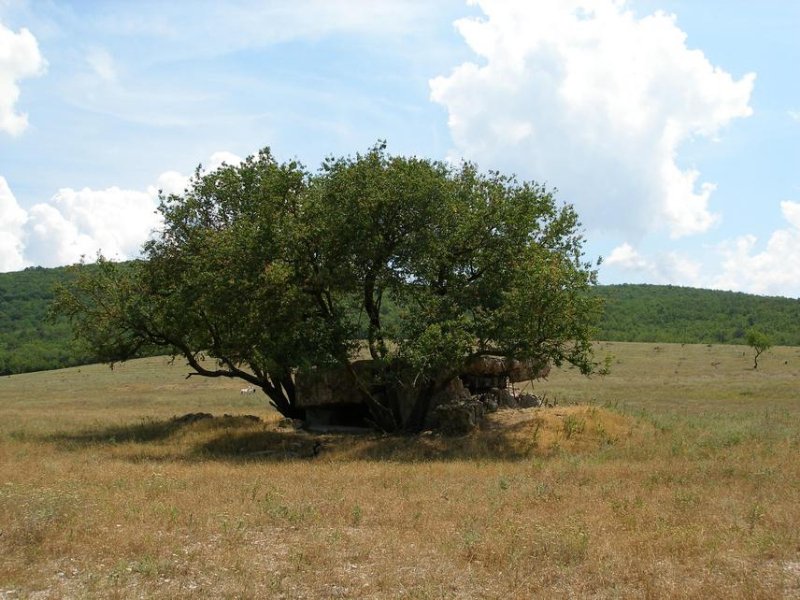 photo-3