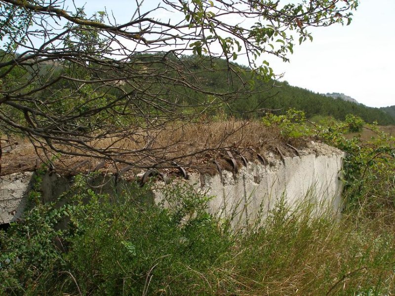 photo-1