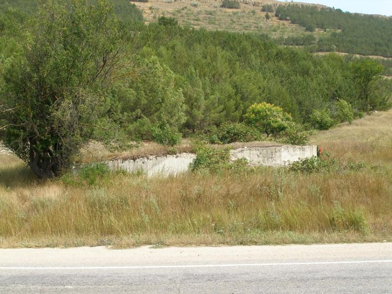 photo-3