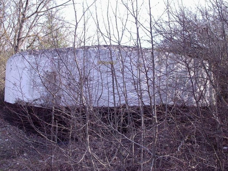 photo-1