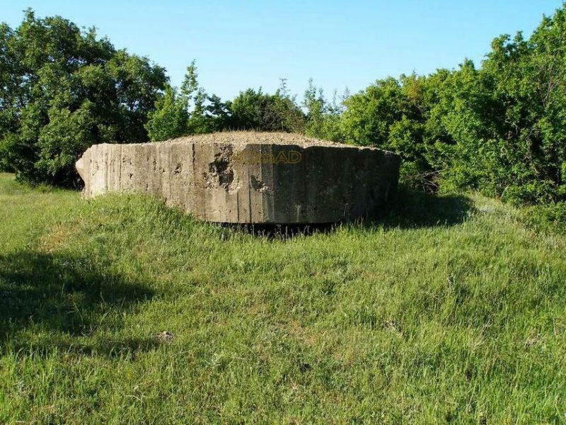 photo-5