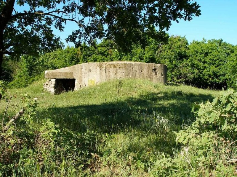 photo-0