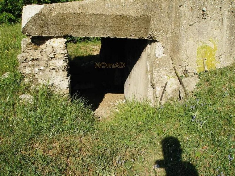 photo-1