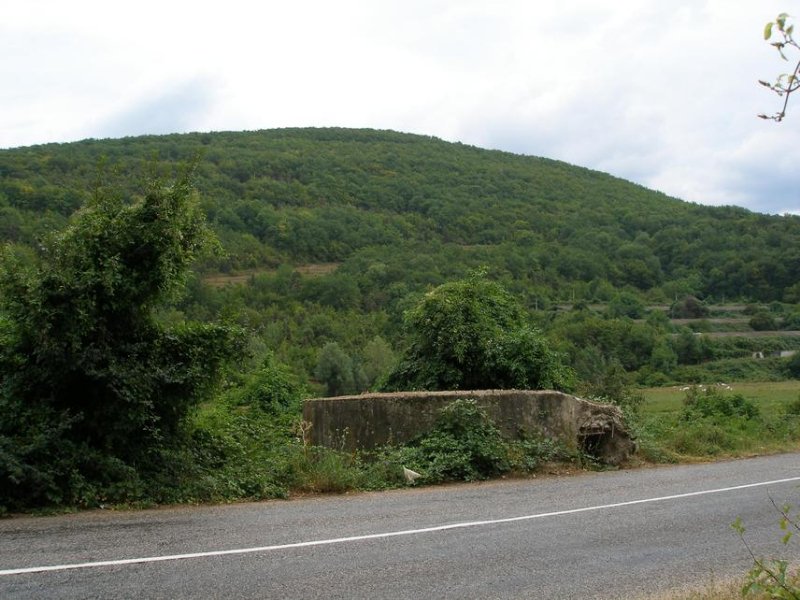 photo-1