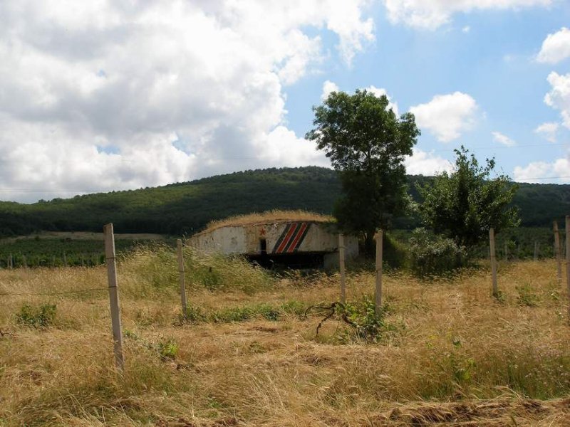 photo-0