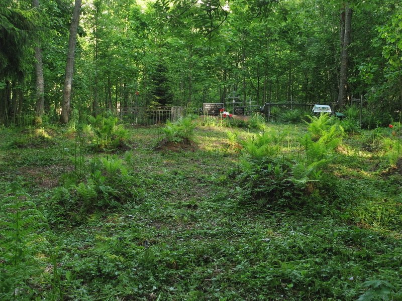 photo-3
