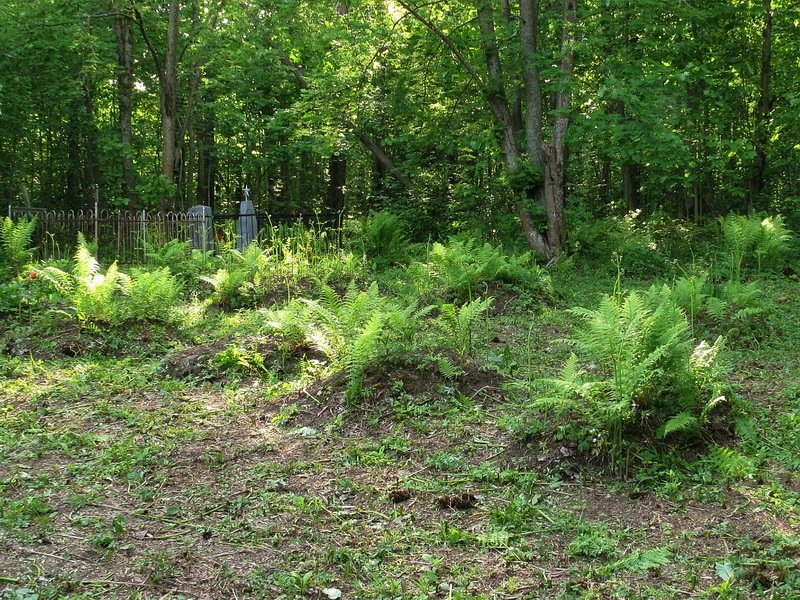 photo-4