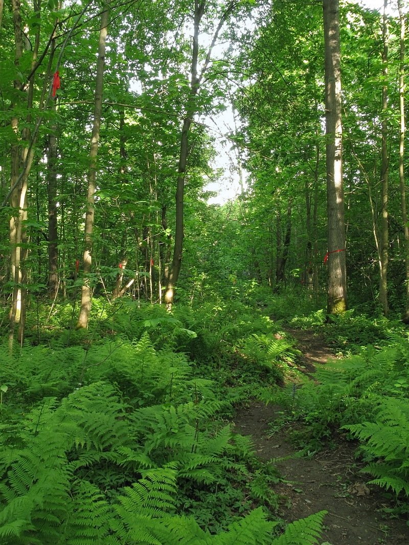 photo-5