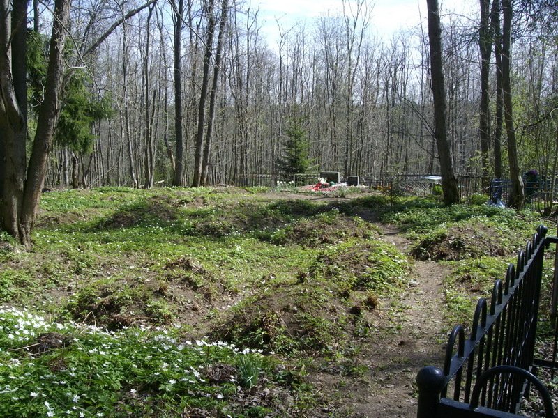 photo-9
