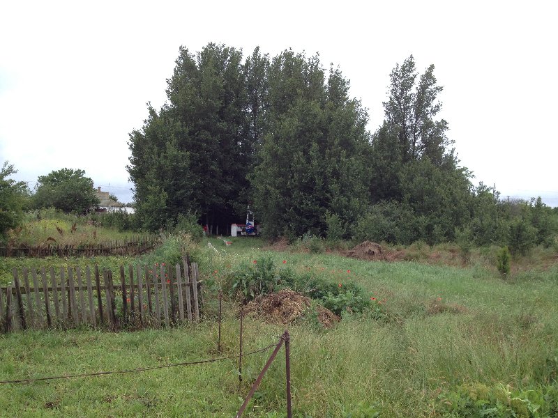 photo-4