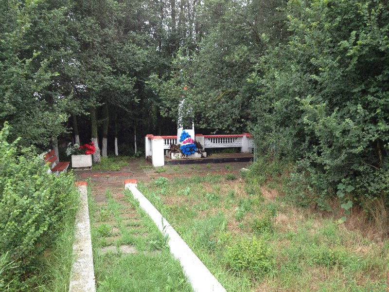 photo-1
