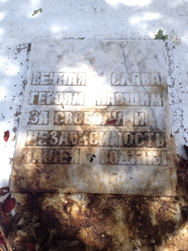 photo-0