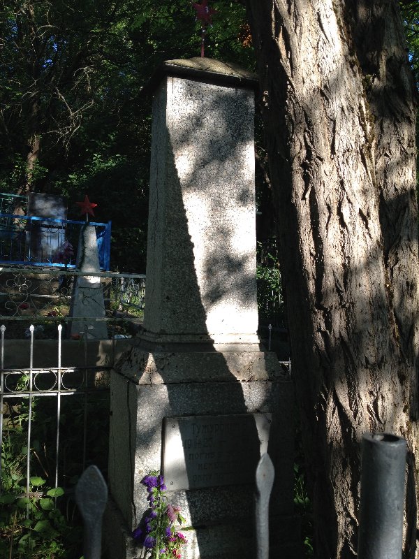 photo-7