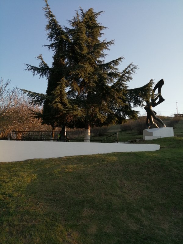 photo-21