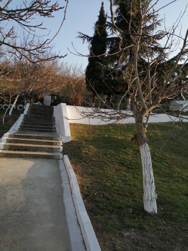 photo-1