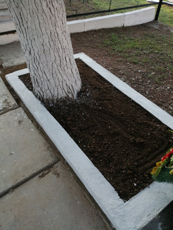 photo-4
