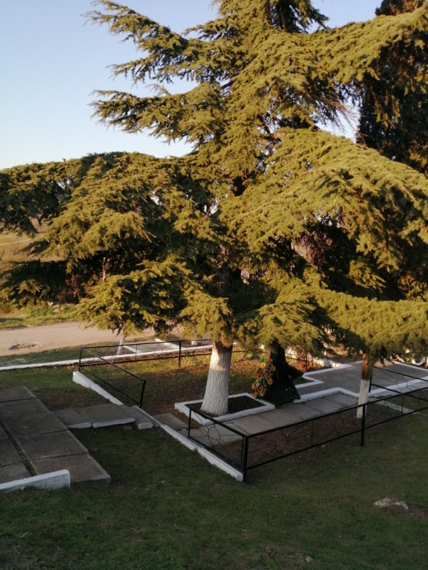 photo-9