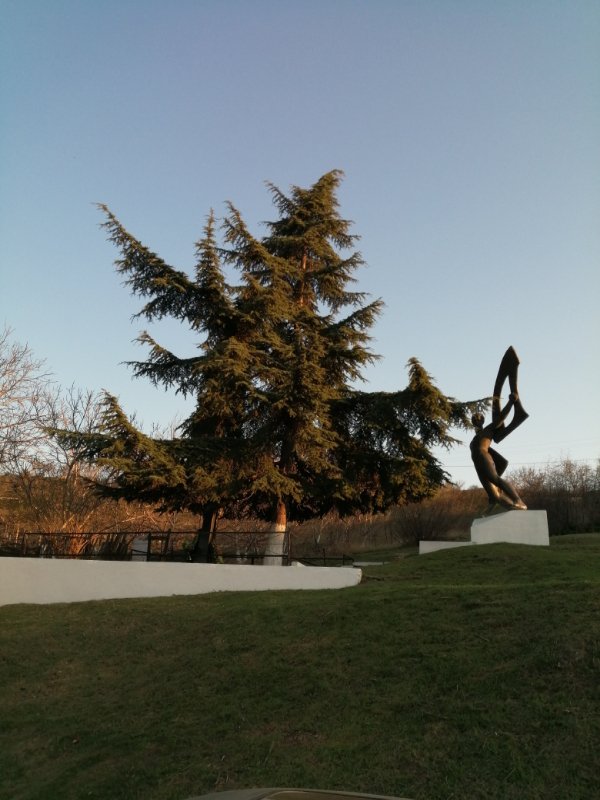photo-14