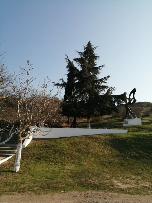 photo-15