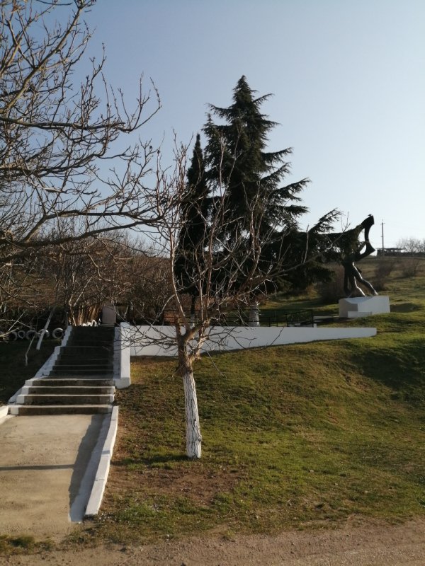 photo-17