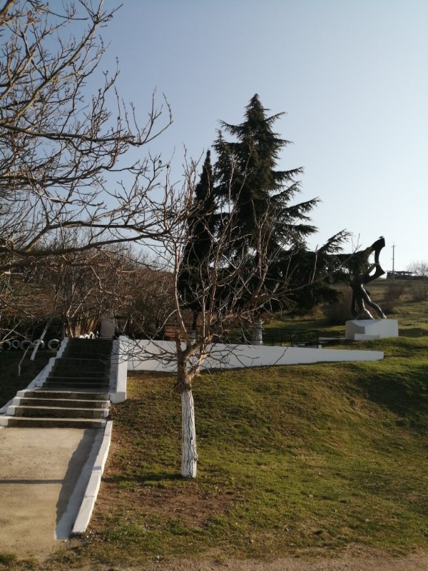 photo-19