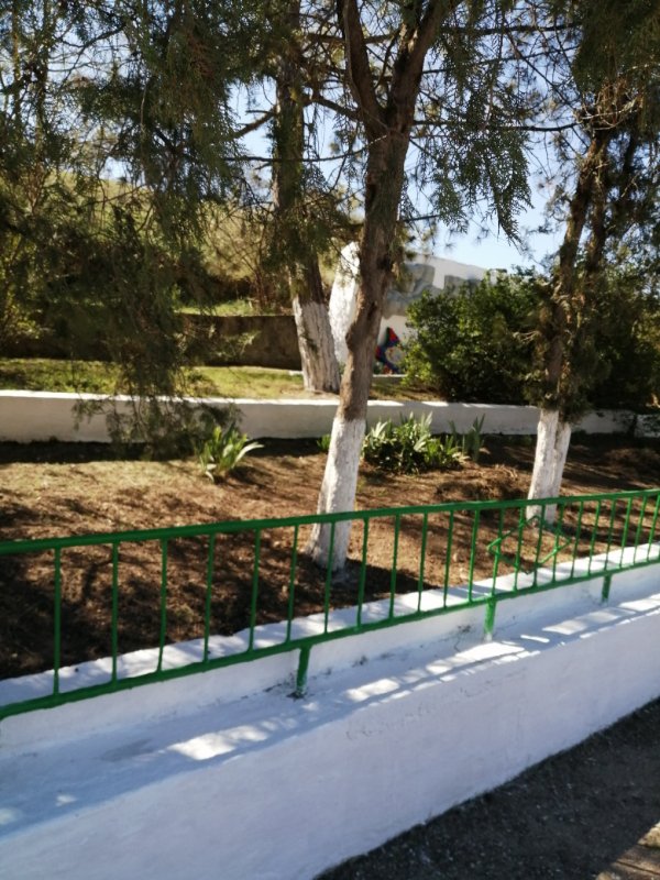 photo-40